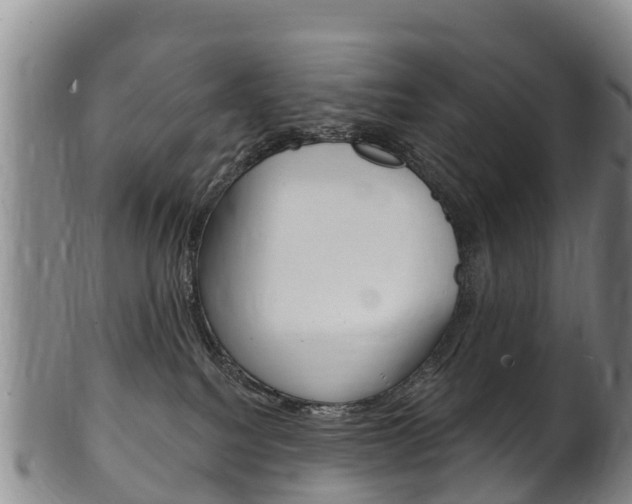 X0000102530088200808081103