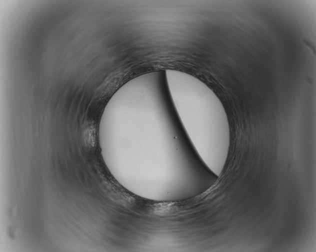 X0000102530090200808081103