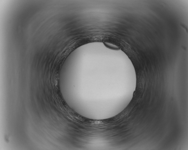 X0000102530091200808081103