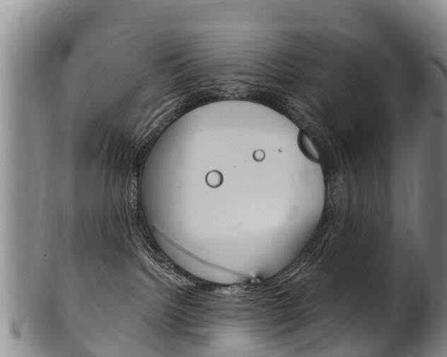 X0000102530092200808081103