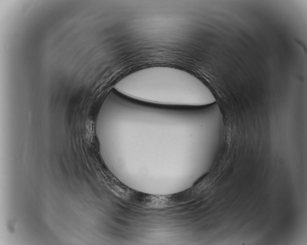 X0000102530093200808081103