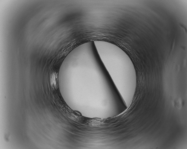 X0000102530094200808081103