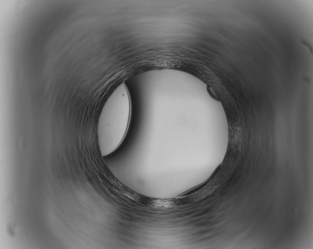 X0000102530095200808081103