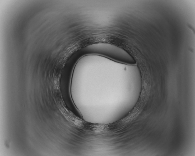 X0000102530096200808081103