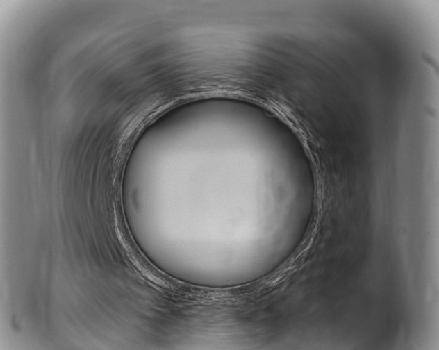 X0000102530097200808081102
