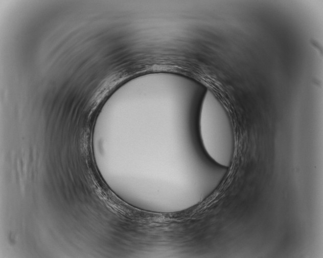 X0000102530098200808081102