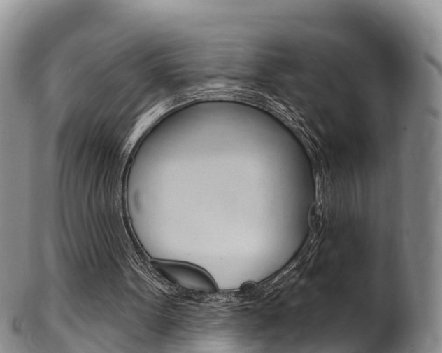 X0000102530099200808081102