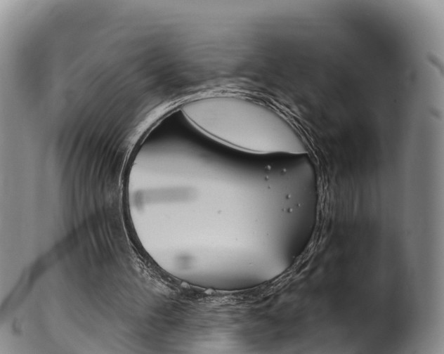 X0000102530100200808081102
