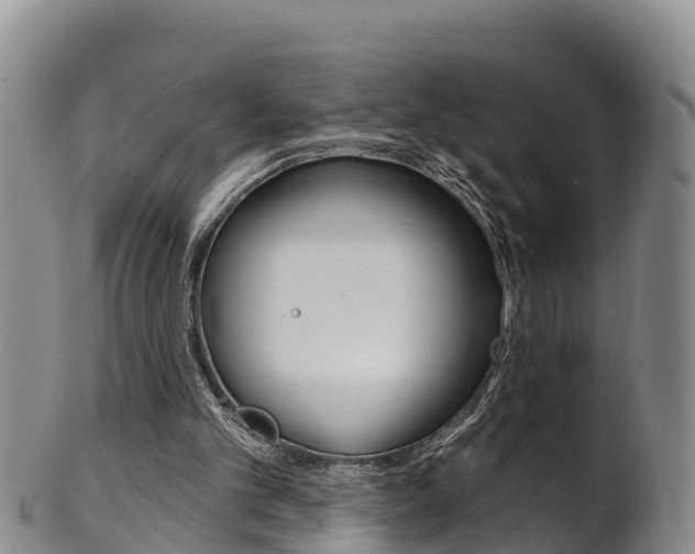 X0000102530101200808081102