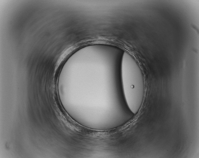 X0000102530102200808081102