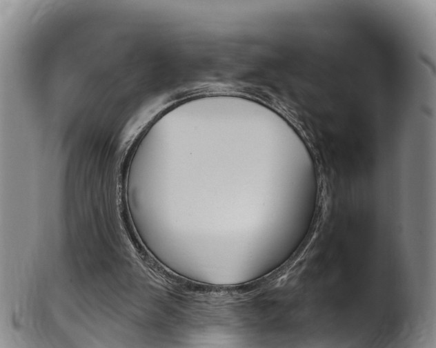X0000102530103200808081102