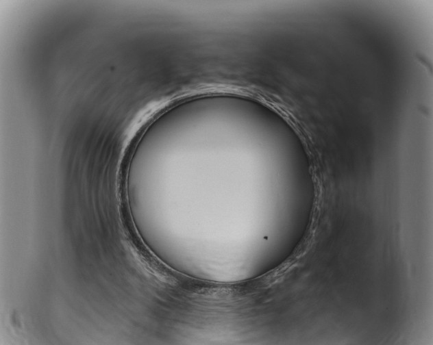 X0000102530104200808081102