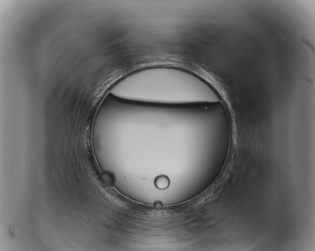 X0000102530105200808081102