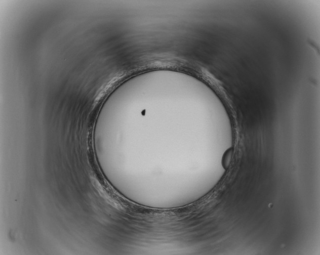 X0000102530106200808081102