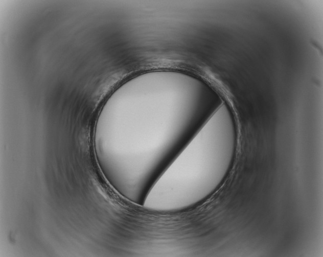X0000102530107200808081102