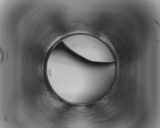X0000102530108200808081102
