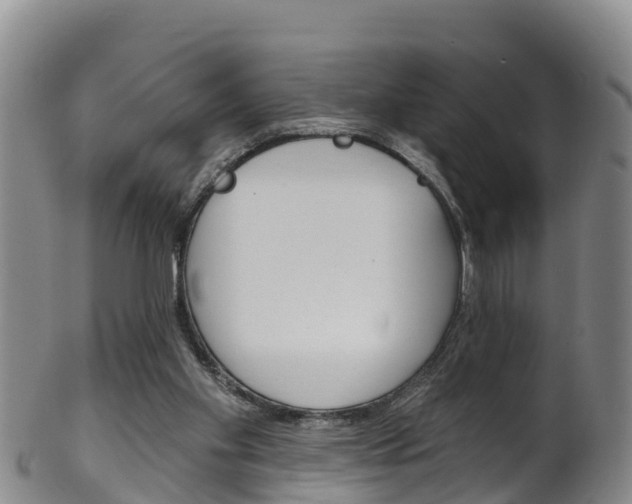 X0000102530109200808081102