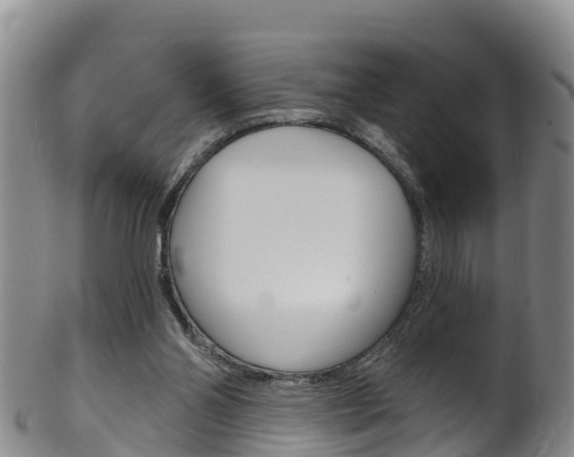 X0000102530110200808081102