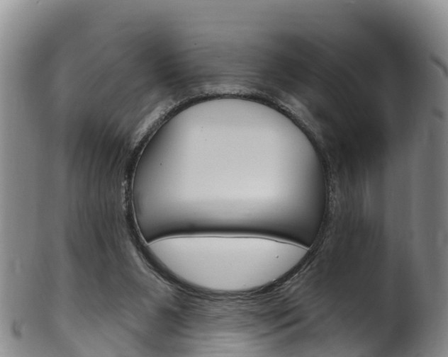 X0000102530111200808081102