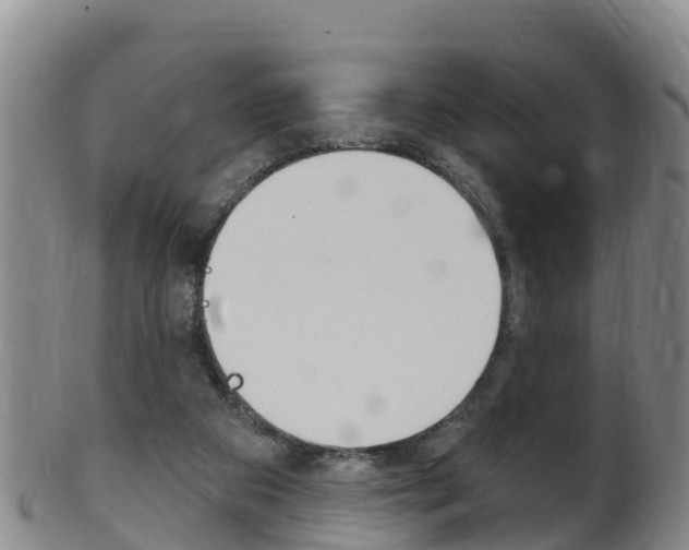 X0000102530113200808081102