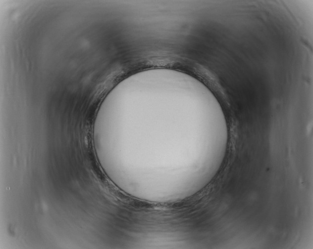 X0000102530114200808081102