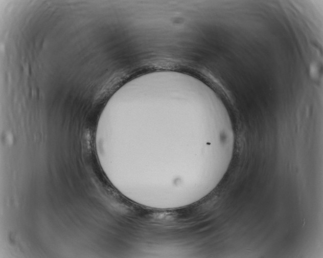 X0000102530117200808081102