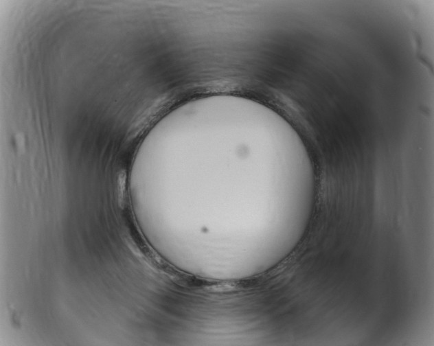 X0000102530118200808081102