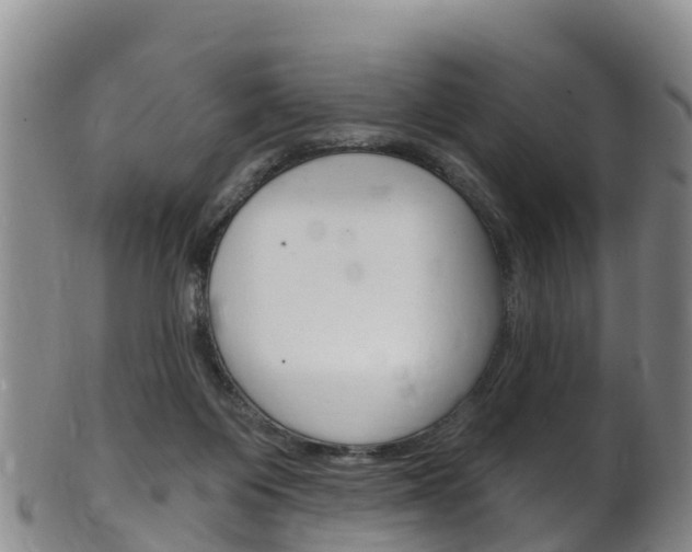X0000102530119200808081102