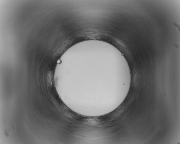 X0000102530121200808081102