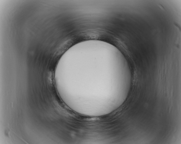 X0000102530122200808081102