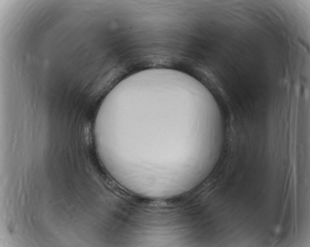 X0000102530123200808081102