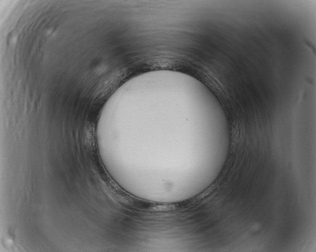 X0000102530126200808081102