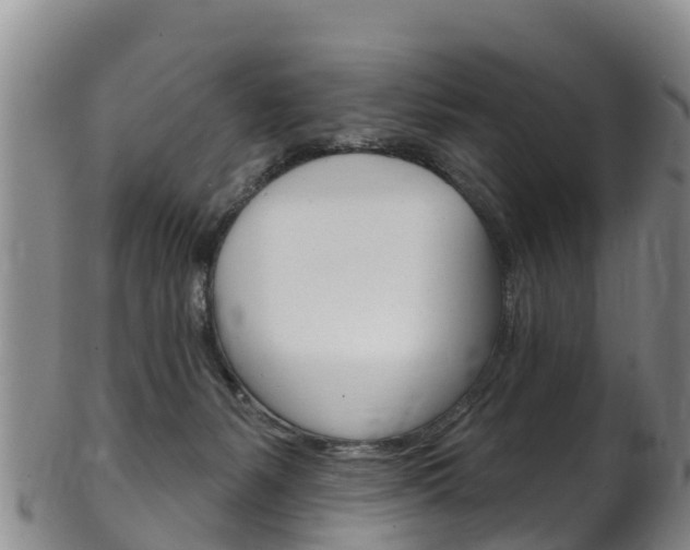 X0000102530127200808081102