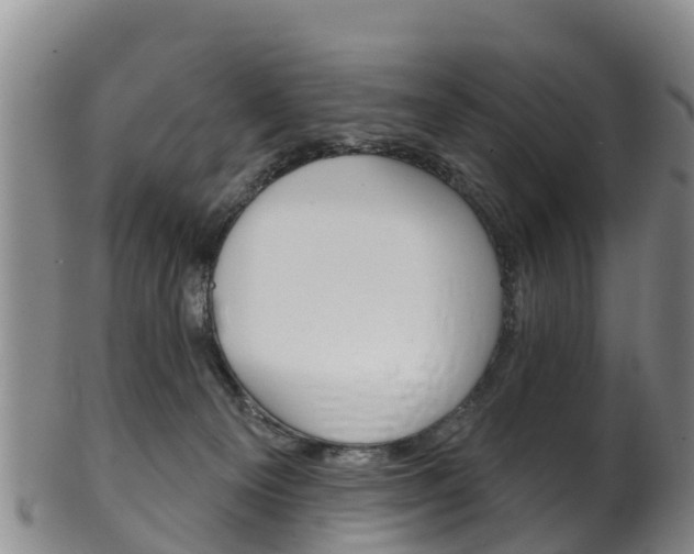 X0000102530129200808081102
