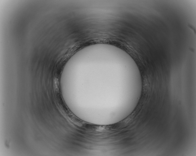 X0000102530130200808081102