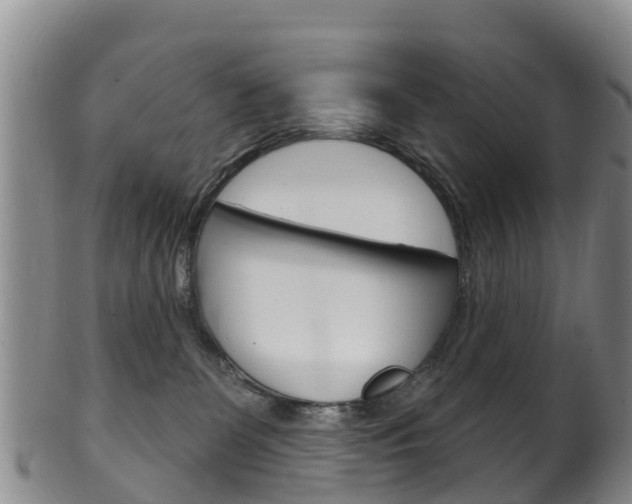 X0000102530131200808081101