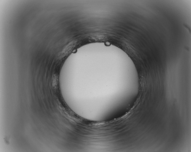 X0000102530132200808081101
