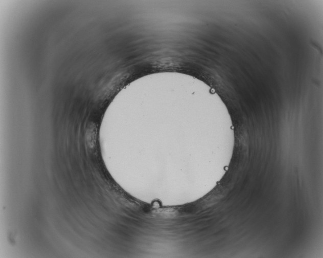 X0000102530133200808081101