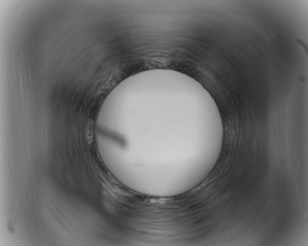 X0000102530134200808081101