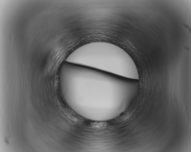 X0000102530135200808081101