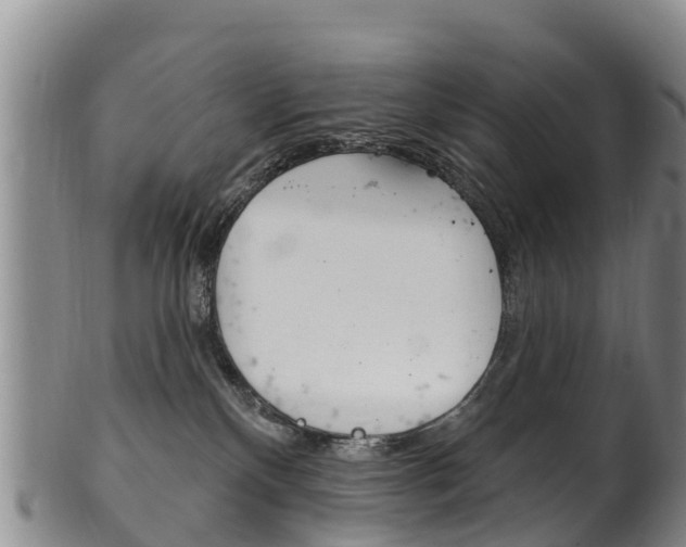 X0000102530136200808081101