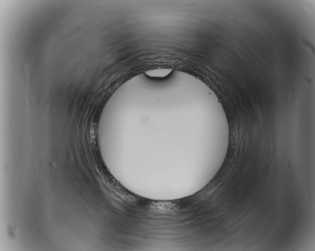 X0000102530137200808081101