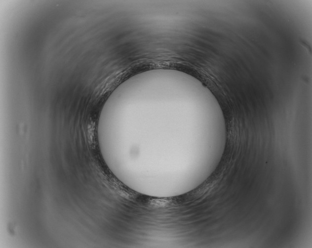 X0000102530139200808081101