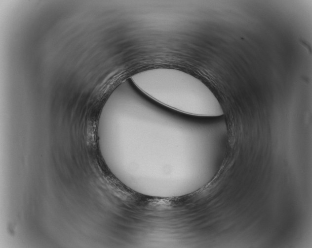 X0000102530140200808081101