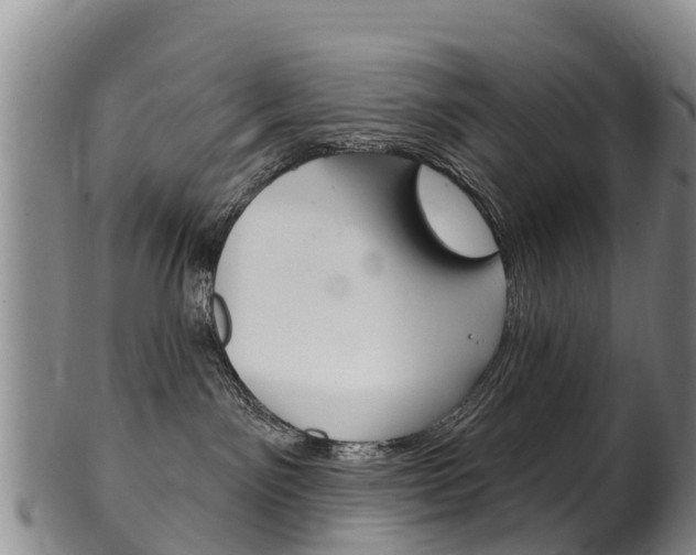 X0000102530141200808081101