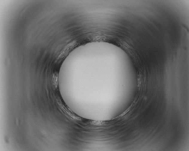 X0000102530142200808081101