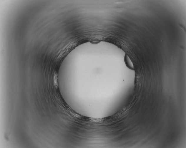 X0000102530143200808081101