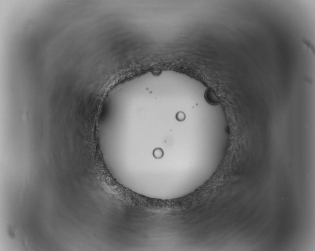 X0000102530144200808081101