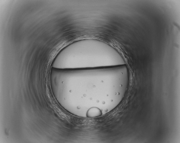 X0000102530145200808081101