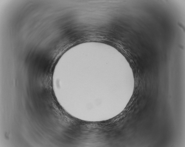 X0000102530146200808081101